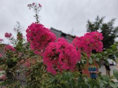 -妙应寺白塔