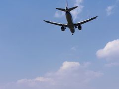 -空港花田景区