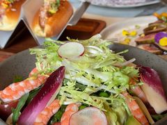 -O'eat Blossom&Pelican(深圳首店)