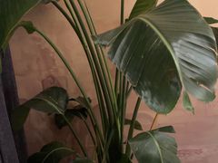 -恒悦轩·粤菜(上海展览中心店)