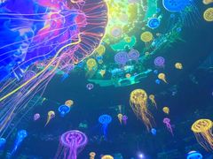 -海合安武汉极地海洋公园