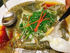 多宝鱼-明香海鲜酒家(华强北店)