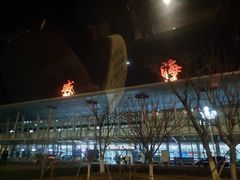 -威海大水泊国际机场