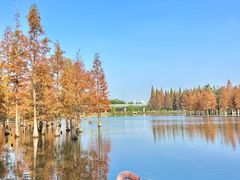 -白鹭湾湿地公园