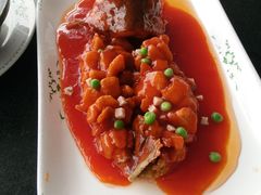 -云中小雅