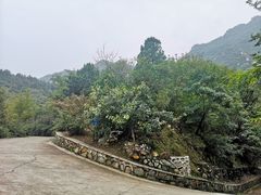 -北京鹫峰国家森林公园