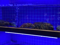 -丈母娘的饭局•新金陵菜(牛首山店)