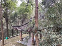 -杭州植物园