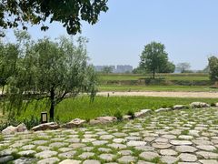 -盘龙城国家考古遗址公园