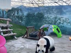 -鄂尔多斯野生动物园