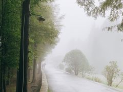 -山王坪喀斯特国家生态公园