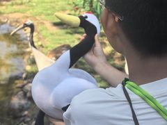 -西霞口神雕山野生动物世界