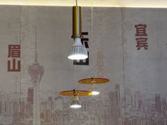 -眉州东坡(龙湖店)