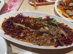 -杨氏青龙虾·羊蝎子(珠江路店)