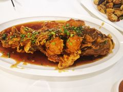 -金春禧(世茂国际广场店)