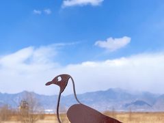 -野鸭湖国家湿地公园