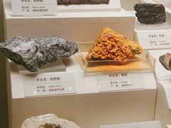 -天津自然博物馆