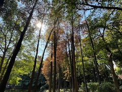 -黄埔荔枝公园