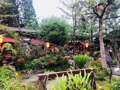 -青城甲(青城山店)