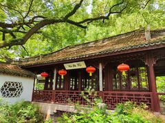 -上海醉白池公园