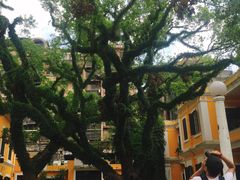 -ALBERGUE 1601 婆仔屋葡国餐厅