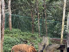 -海南热带野生动植物园