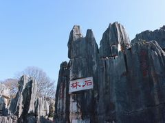 -七采菌园·野生菌石锅鱼(环城北路店)