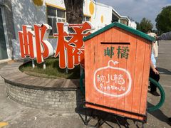 -前小桔亲子创意农场·草莓采摘·露营烧烤