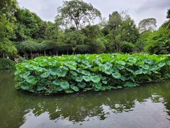 -成都杜甫草堂博物馆