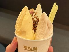 -陕拾叁-西安糕点(大雁塔店)