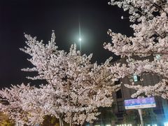 -必胜客(大宁路店)