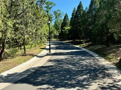 -白水寺森林公园