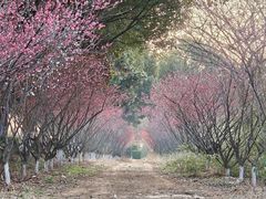 -敬亭山风景名胜区