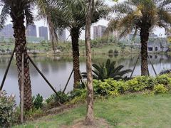 -枫香湖儿童公园