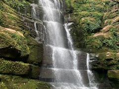 -碧峰峡风景区