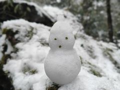 -西岭雪山大飞水景区