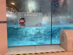 -帝企鹅自助餐厅•儿童岛•真企鹅(长隆企鹅酒店)