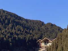 -武陵山森林公园