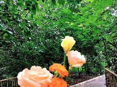 -小洲村