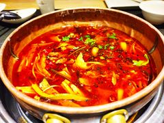 招牌牛杂火锅-蓉客成都火锅·招牌麻辣牛杂·特色香辣蹄花(凌水店)