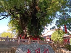 -大槐树寻根祭祖园