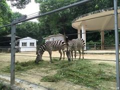 -北京鹿世界主题园