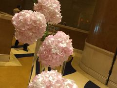 -澳门十六浦索菲特大酒店