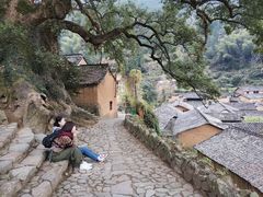 -杨家堂村