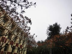 -厦门大学(思明校区)