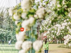 -杭州城北体育公园