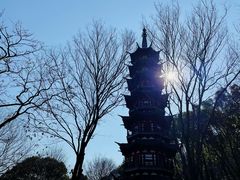 -上海佘山国家森林公园西佘山园