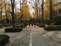 -两江幸福广场