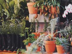 -PlantsEatery·植物食堂(REX春熙店)