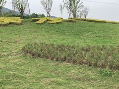 -洪霞餐馆